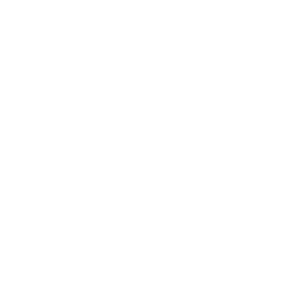 AI Integration