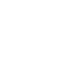 Cost Optimization