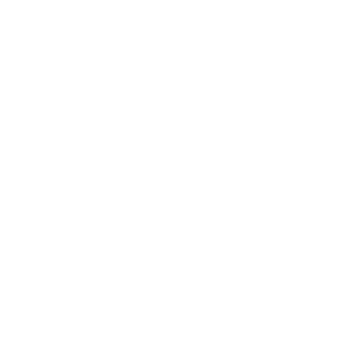 SEO Ready Websites