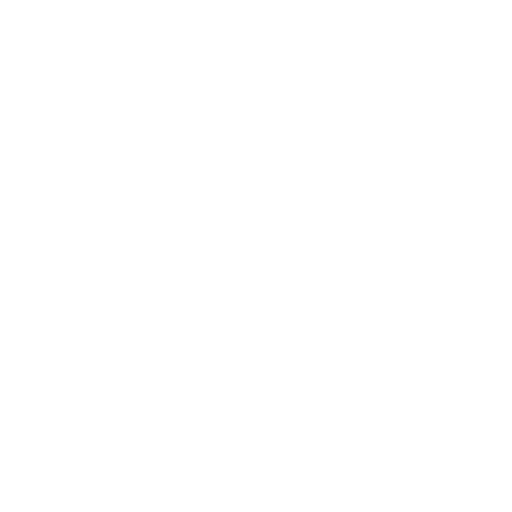 Software Security